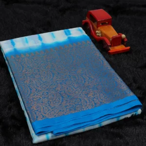 Water Blue WARM SILK SAREE